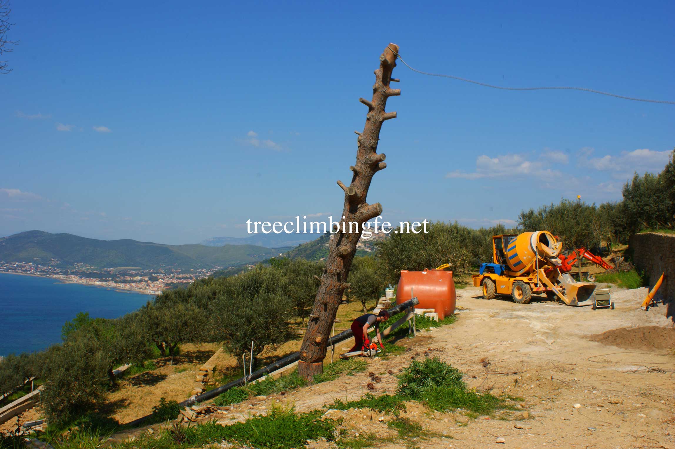 Tree Climbing Ferrara - Arboricoltura Perelli: abbattimento al piede