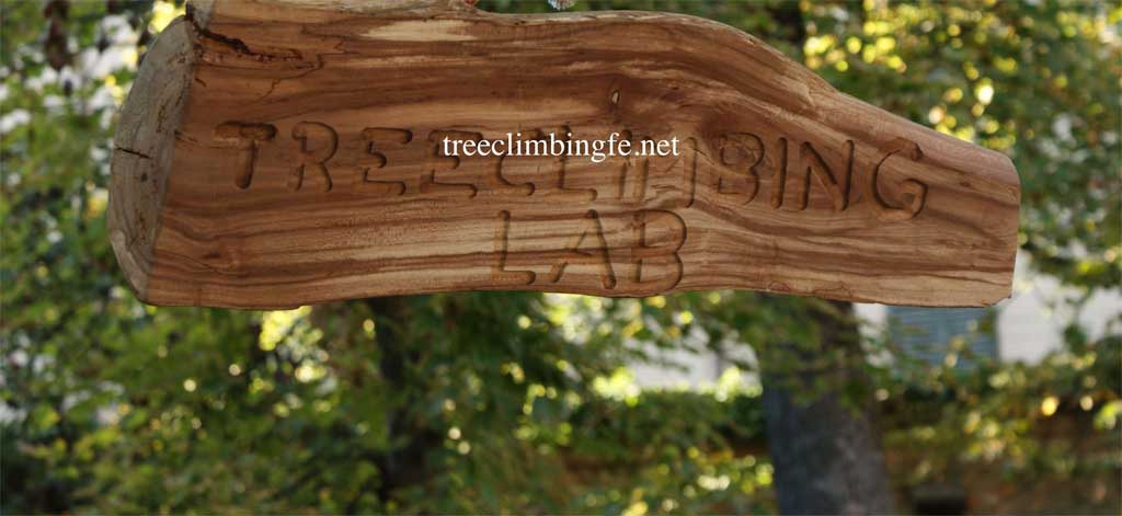 Tree Climbing Ferrara - Arboricoltura Perelli: laboratori di tree climbing