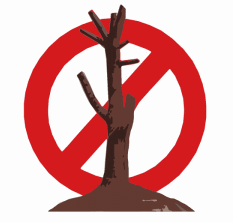 Tree Climbing Ferrara - Arboricoltura Perelli: potare alberi per ridurre rischi di caduta